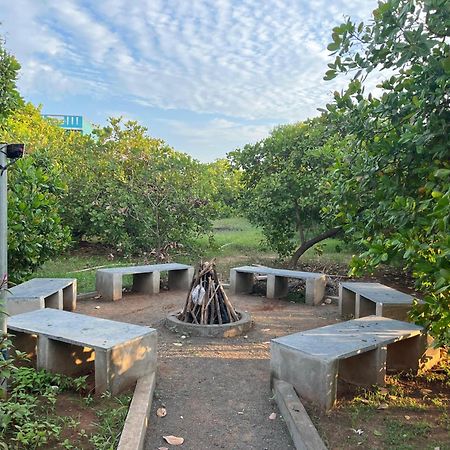 Paradise Forest Resort بونديتْشيري المظهر الخارجي الصورة